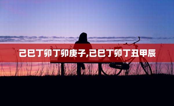 己巳丁卯丁卯庚子,已巳丁卯丁丑甲辰