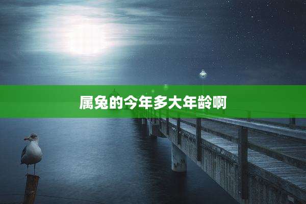 属兔的今年多大年龄啊