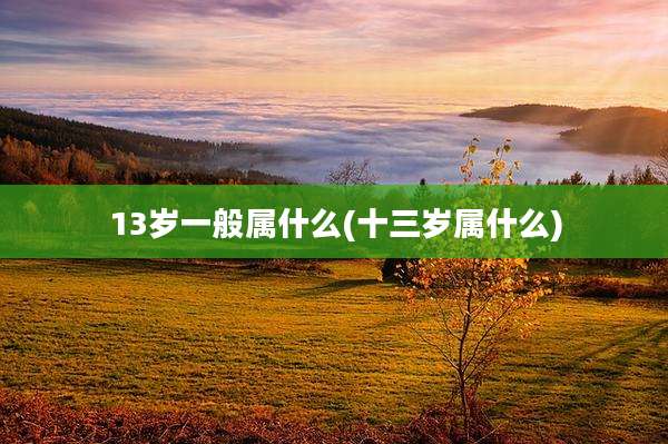 13岁一般属什么(十三岁属什么)