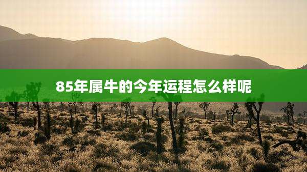 85年属牛的今年运程怎么样呢
