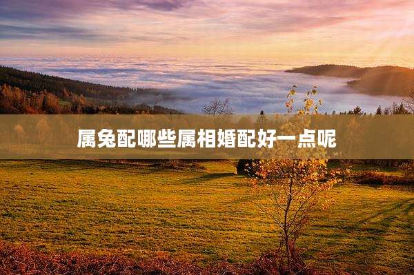 属兔配哪些属相婚配好一点呢