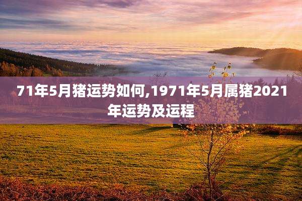 71年5月猪运势如何,1971年5月属猪2021年运势及运程