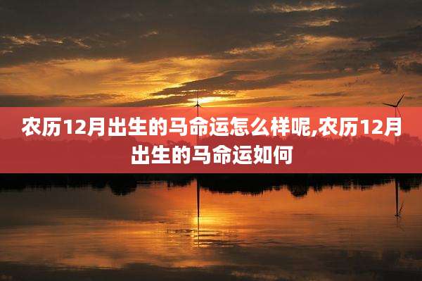 农历12月出生的马命运怎么样呢,农历12月出生的马命运如何