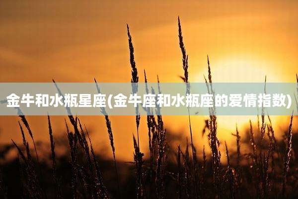 金牛和水瓶星座(金牛座和水瓶座的爱情指数)
