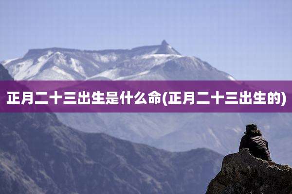 正月二十三出生是什么命(正月二十三出生的)
