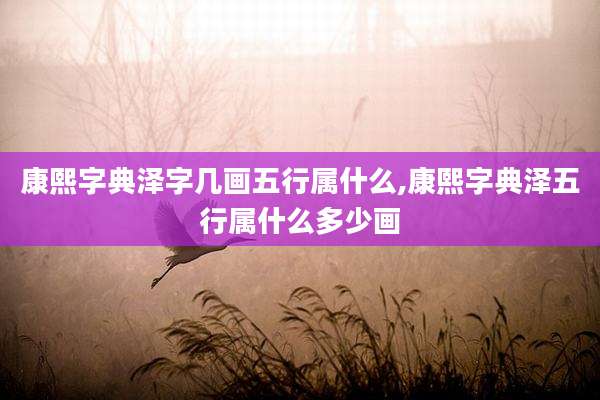 康熙字典泽字几画五行属什么,康熙字典泽五行属什么多少画