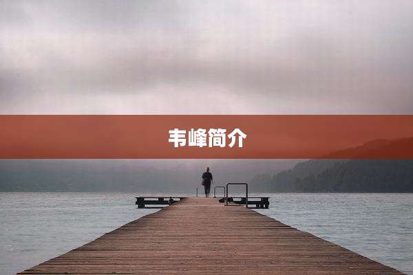 韦峰简介