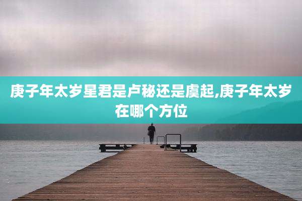 庚子年太岁星君是卢秘还是虞起,庚子年太岁在哪个方位