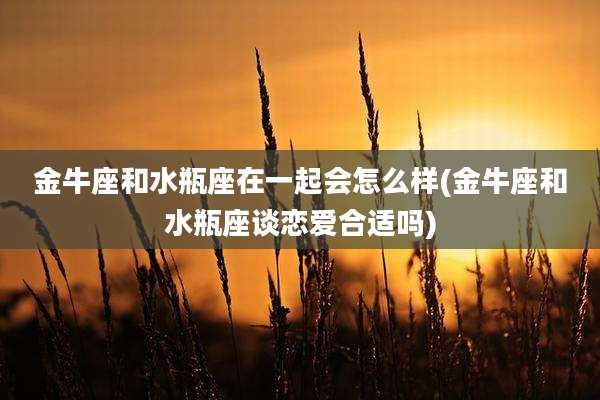 金牛座和水瓶座在一起会怎么样(金牛座和水瓶座谈恋爱合适吗)