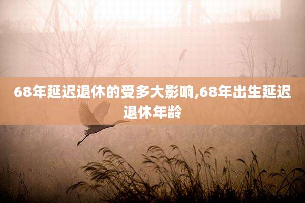 68年延迟退休的受多大影响,68年出生延迟退休年龄