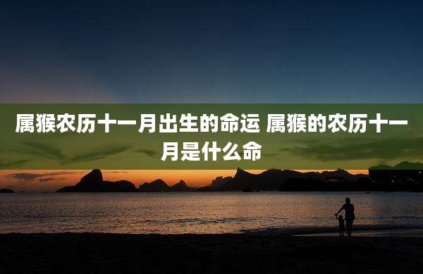 属猴农历十一月出生的命运 属猴的农历十一月是什么命