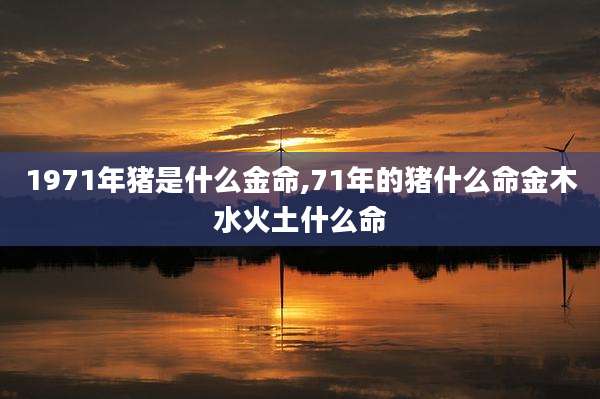 1971年猪是什么金命,71年的猪什么命金木水火土什么命
