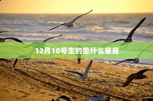 12月10号生的是什么星座