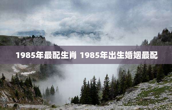 1985年最配生肖 1985年出生婚姻最配