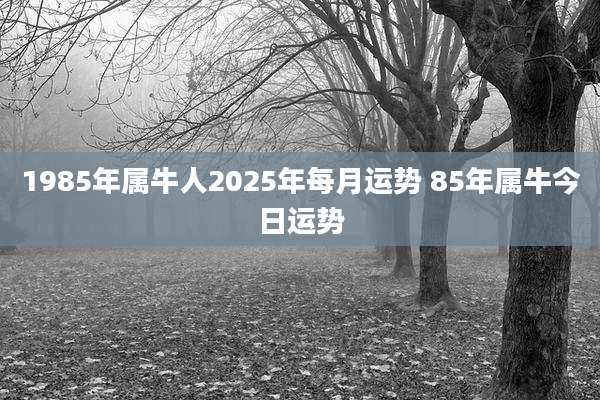 1985年属牛人2025年每月运势 85年属牛今日运势