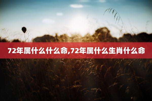72年属什么什么命,72年属什么生肖什么命
