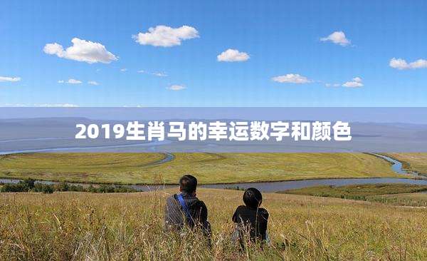 2019生肖马的幸运数字和颜色