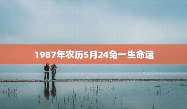 1987年农历5月24兔一生命运