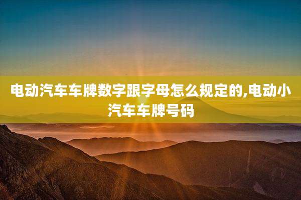 电动汽车车牌数字跟字母怎么规定的,电动小汽车车牌号码