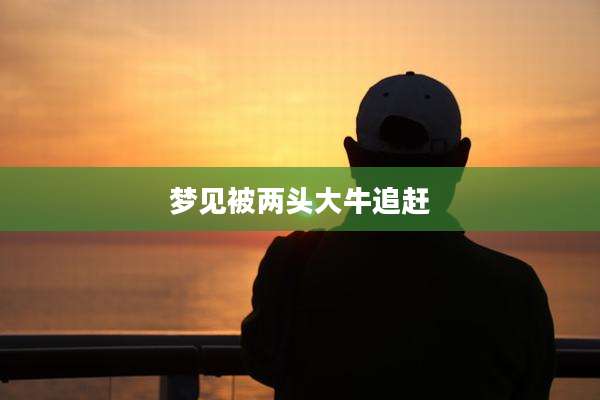 梦见被两头大牛追赶