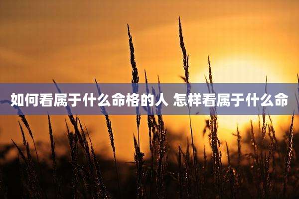 如何看属于什么命格的人 怎样看属于什么命