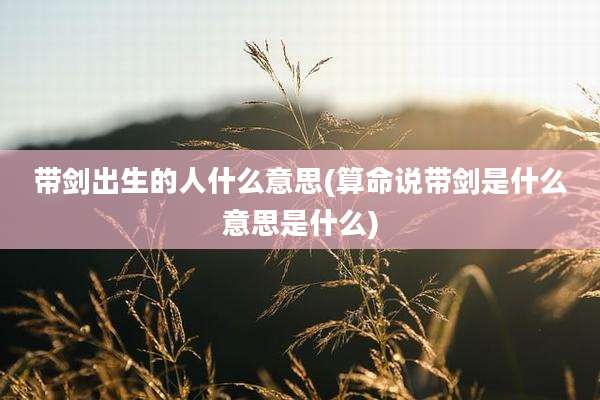 带剑出生的人什么意思(算命说带剑是什么意思是什么)