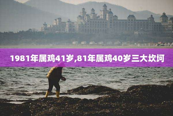 1981年属鸡41岁,81年属鸡40岁三大坎坷
