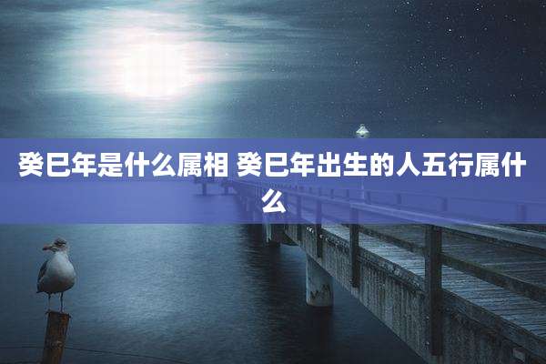 癸巳年是什么属相 癸巳年出生的人五行属什么