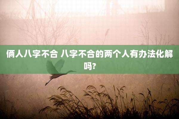 俩人八字不合 八字不合的两个人有办法化解吗?