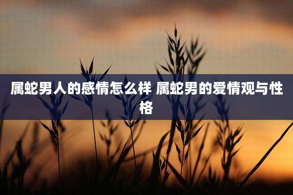属蛇男人的感情怎么样 属蛇男的爱情观与性格