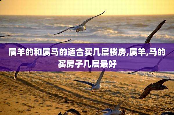 属羊的和属马的适合买几层楼房,属羊,马的买房子几层最好
