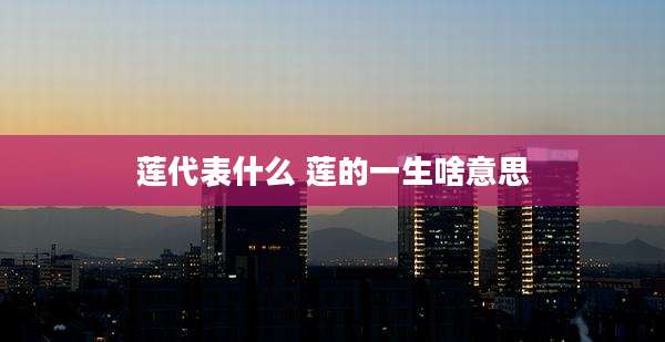 莲代表什么 莲的一生啥意思