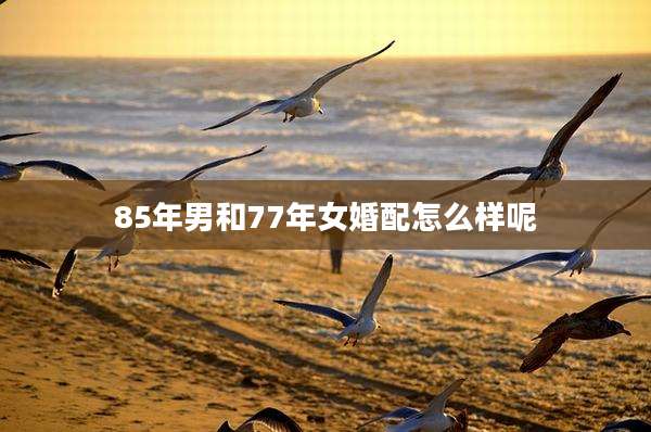 85年男和77年女婚配怎么样呢
