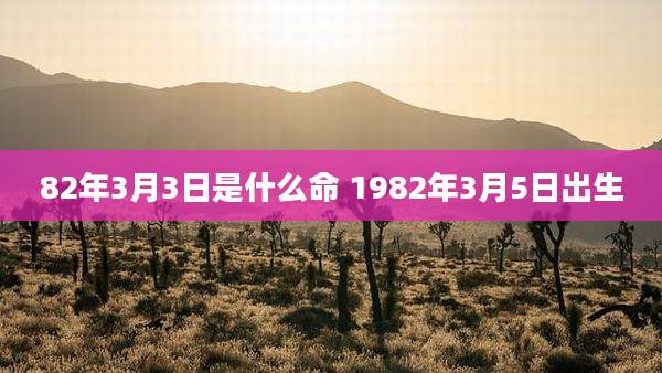 82年3月3日是什么命 1982年3月5日出生