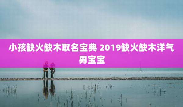小孩缺火缺木取名宝典 2019缺火缺木洋气男宝宝