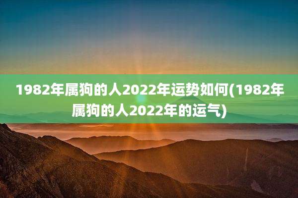 1982年属狗的人2022年运势如何(1982年属狗的人2022年的运气)