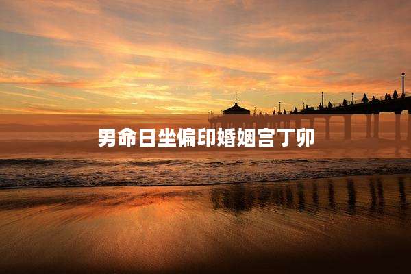 男命日坐偏印婚姻宫丁卯