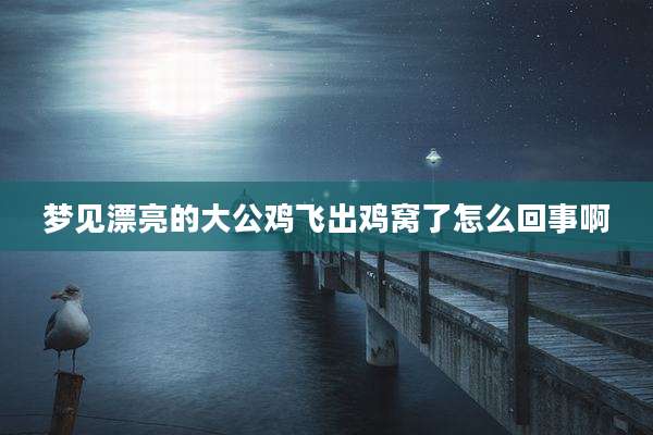 梦见漂亮的大公鸡飞出鸡窝了怎么回事啊
