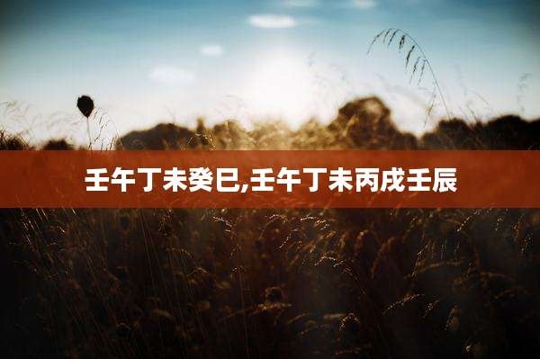 壬午丁未癸巳,壬午丁未丙戌壬辰
