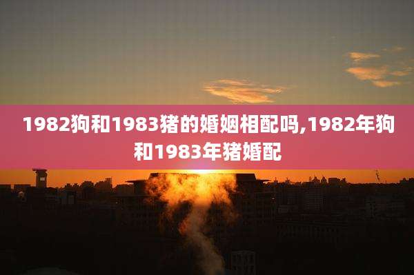 1982狗和1983猪的婚姻相配吗,1982年狗和1983年猪婚配