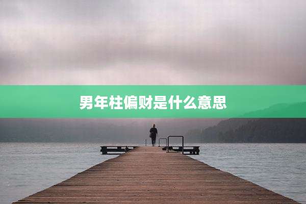 男年柱偏财是什么意思
