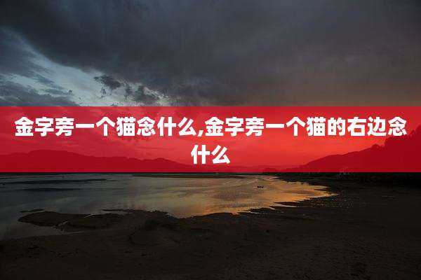 金字旁一个猫念什么,金字旁一个猫的右边念什么