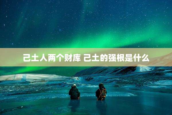己土人两个财库 己土的强根是什么