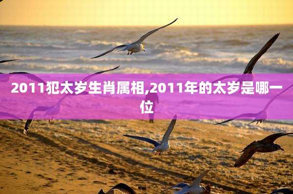 2011犯太岁生肖属相,2011年的太岁是哪一位