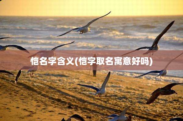 恺名字含义(恺字取名寓意好吗)