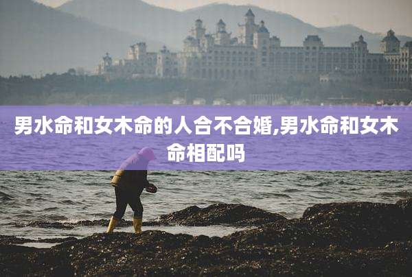 男水命和女木命的人合不合婚,男水命和女木命相配吗