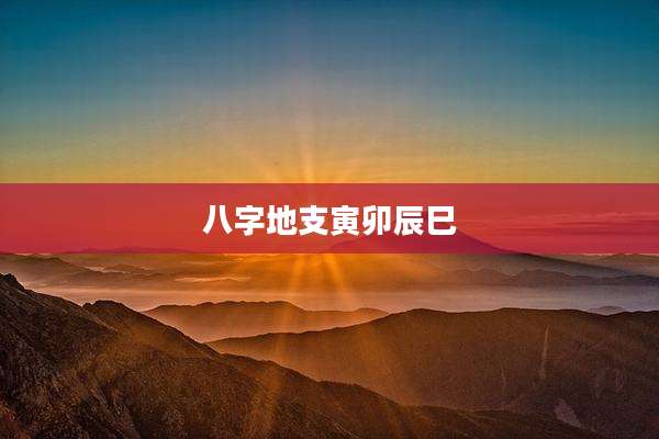 八字地支寅卯辰巳