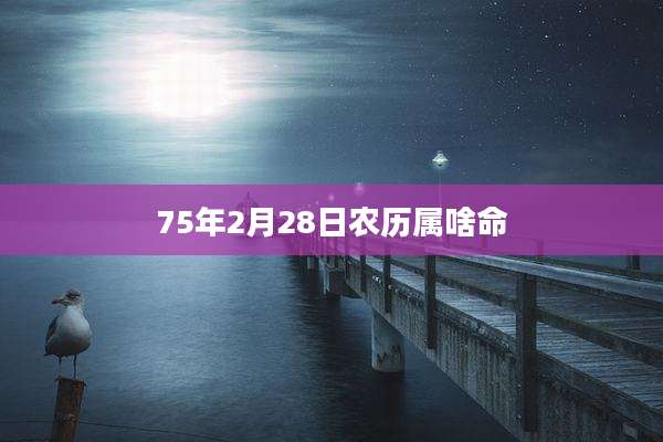 75年2月28日农历属啥命