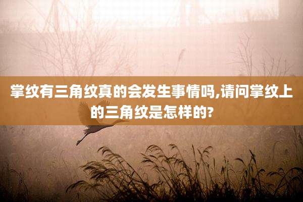 掌纹有三角纹真的会发生事情吗,请问掌纹上的三角纹是怎样的?