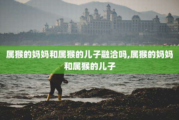 属猴的妈妈和属猴的儿子融洽吗,属猴的妈妈和属猴的儿子